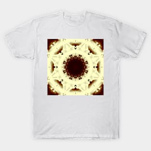 Chocolate ornament T-Shirt